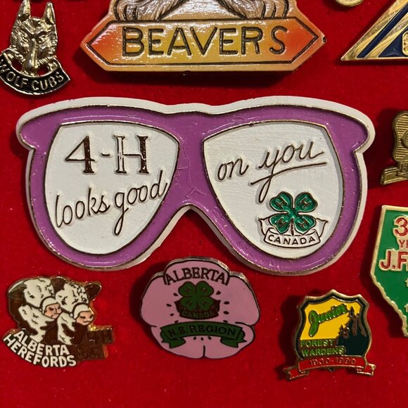 Lapel Pin Collect Lot Charm Keychain Craft DIY Repurpose Jewelry Supply Keepsake - Picture 3 of 8